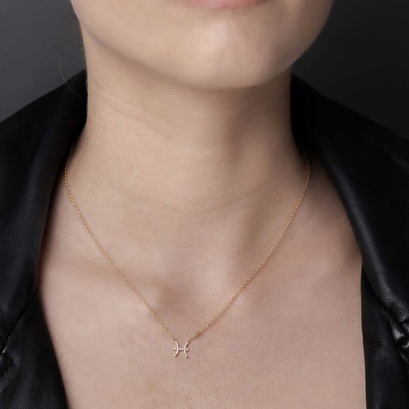 Silk & Steel Pisces Necklace image number 1